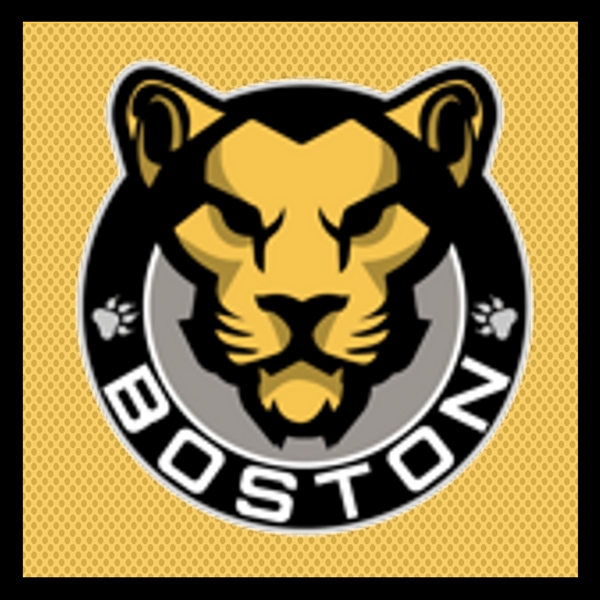 Kelly, Lauren<br>Yellow Lake Placid & Playoffs Set w/ Isobel Cup & End Racism Patch - PRE-ORDER<br>Boston Pride 2020-21<br>#4 Size:  MD